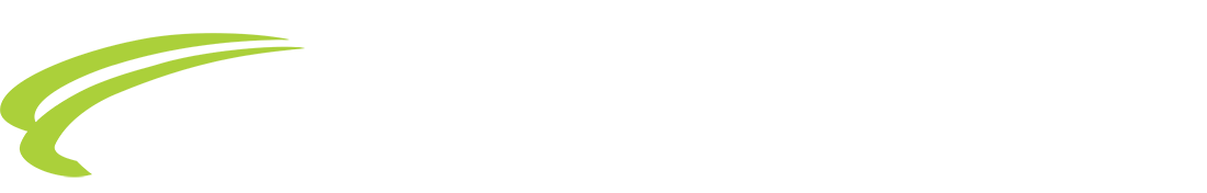 DDSN Interactive Logo