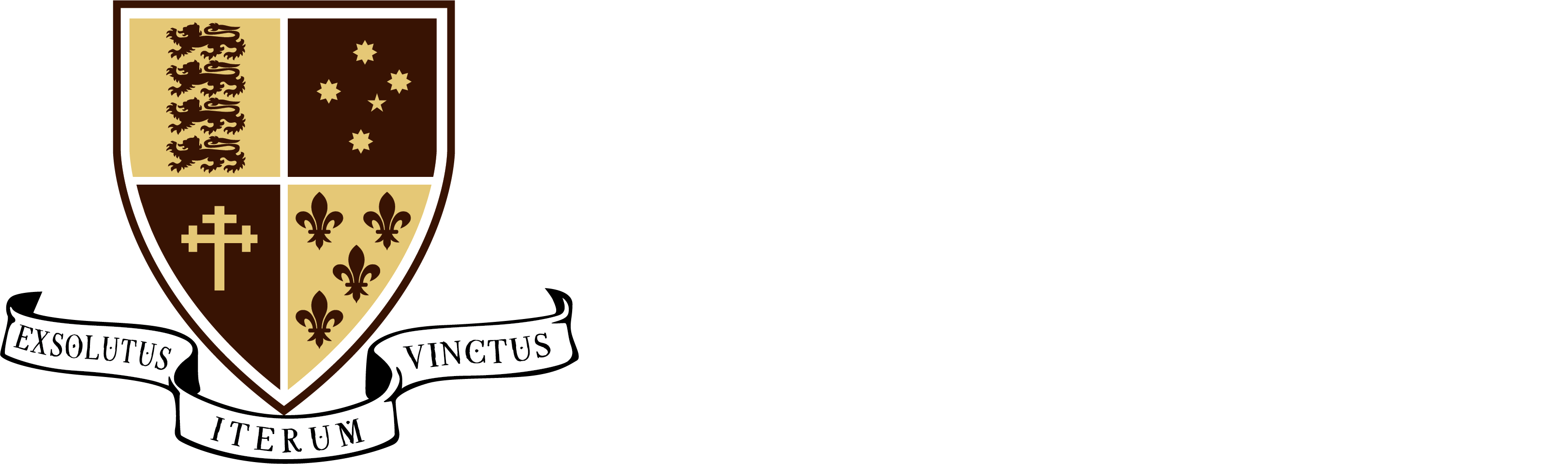 Logo of DDSN Client - St John's College, University of New South Wales (UNSW)