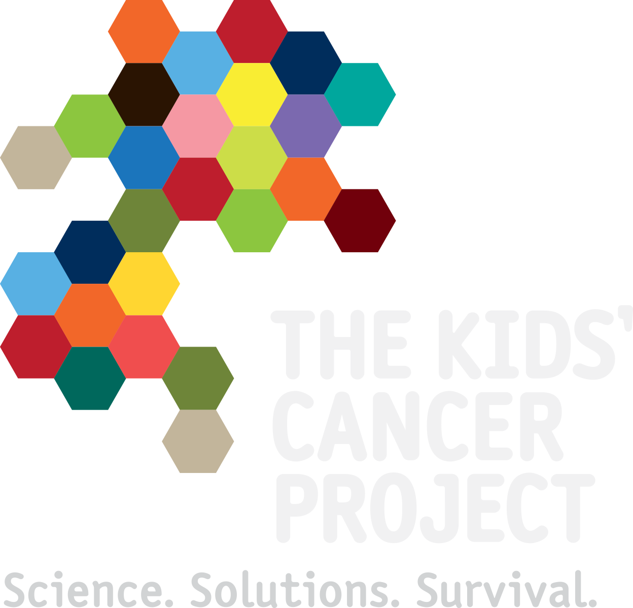 Logo of DDSN Client - The Kids' Cancer Project