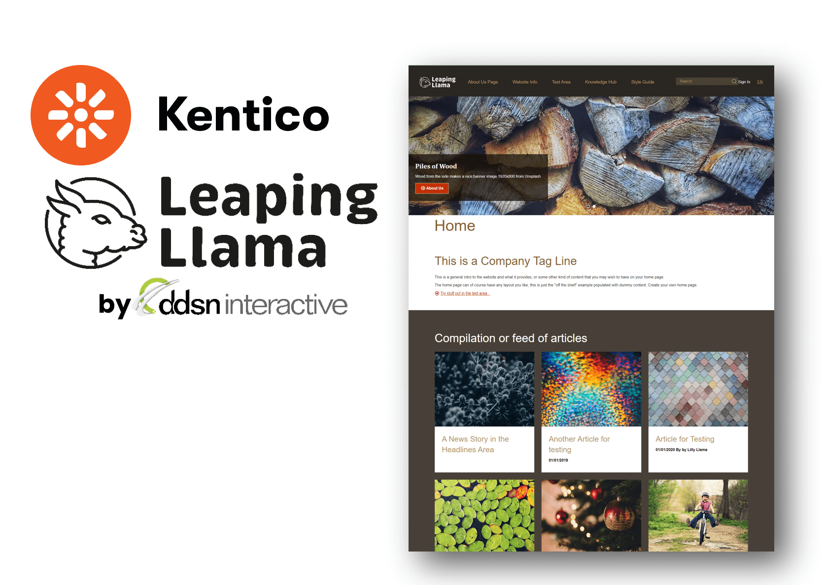 Leaping Llamas by DDSN is a platform that augments Kentico Xperience and Xperience by Kentico