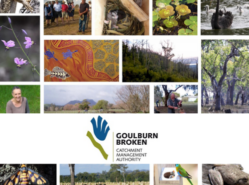 Image of one of the GB CMA photo galleries, overlaid by the Goulburn Broken CMA logo